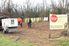 IMG_5729